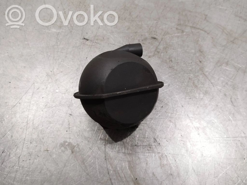 Volkswagen Golf V Vakuumo oro talpa 