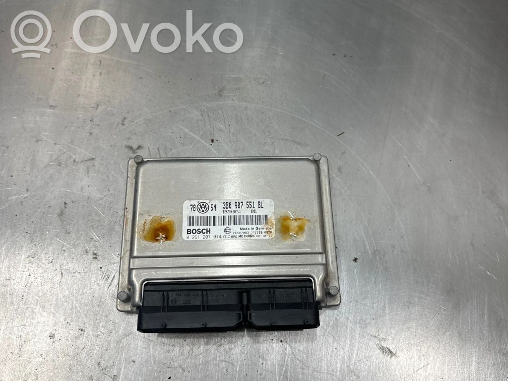 Volkswagen PASSAT B5.5 Engine control unit/module 