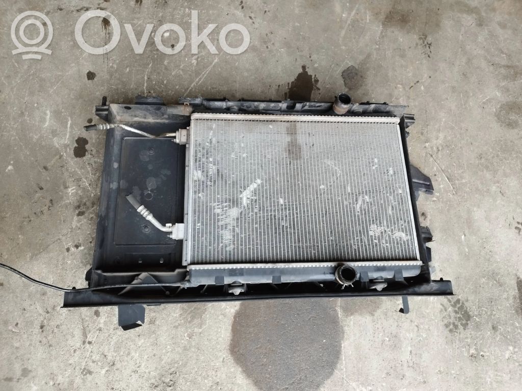 Peugeot Partner Panou suport radiator 