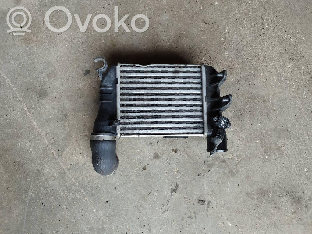 Audi A4 S4 B7 8E 8H Interkūlerio radiatorius 