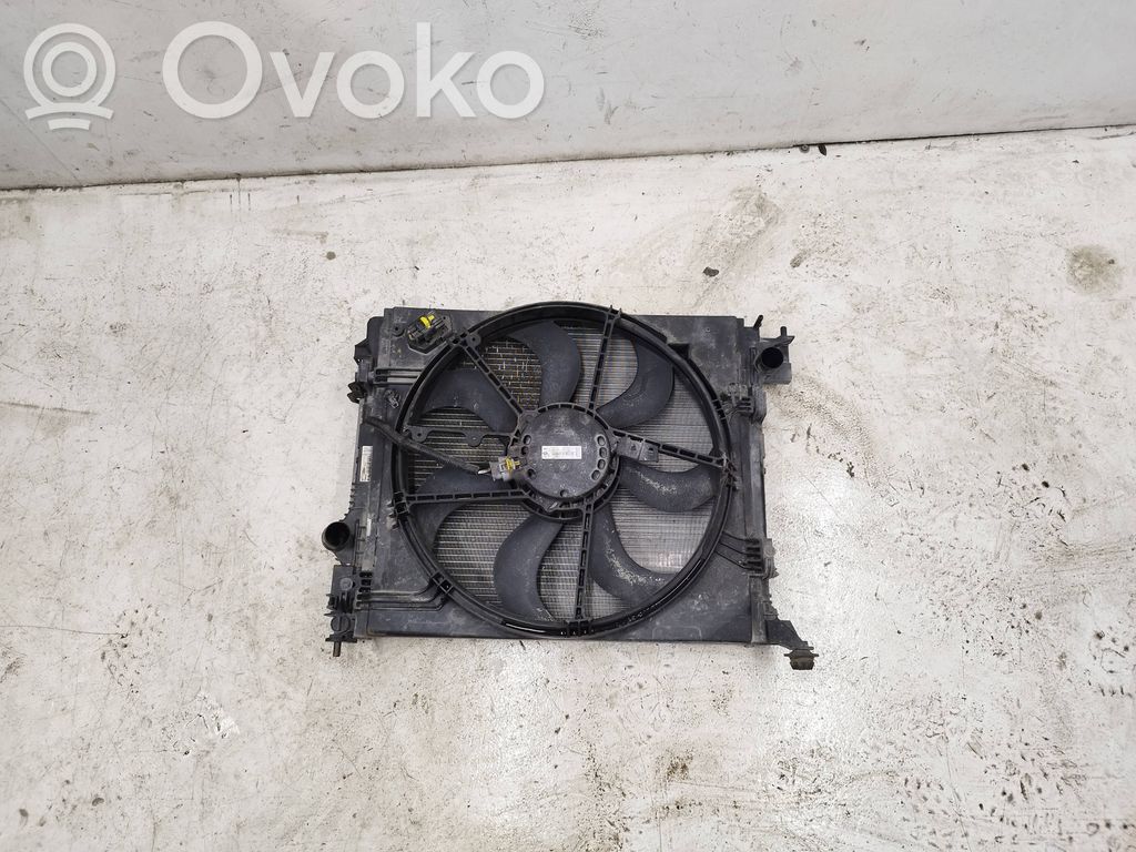 Renault Kadjar Radiator support slam panel 