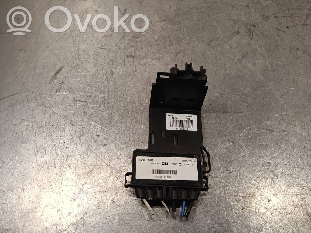 Citroen Berlingo Módulo de fusible 