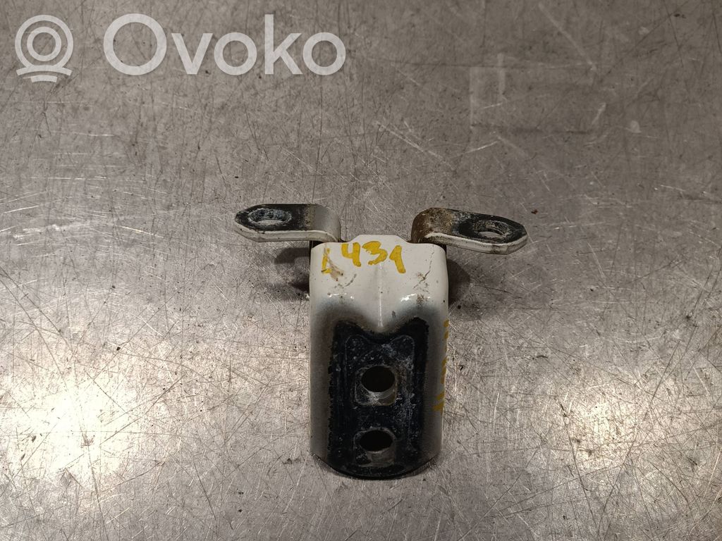 Renault Kadjar Front door lower hinge 