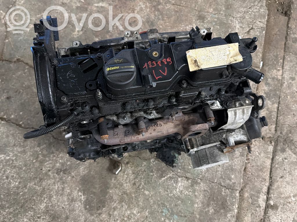 Ford Focus Motor 