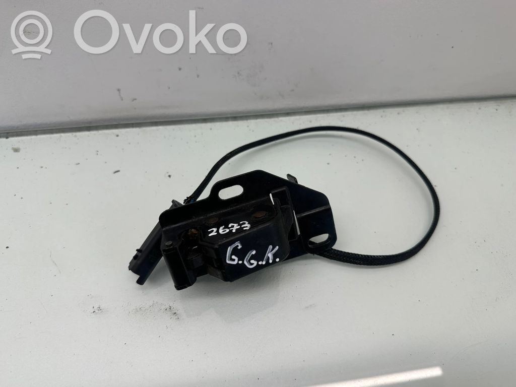 Loading door lock   2673