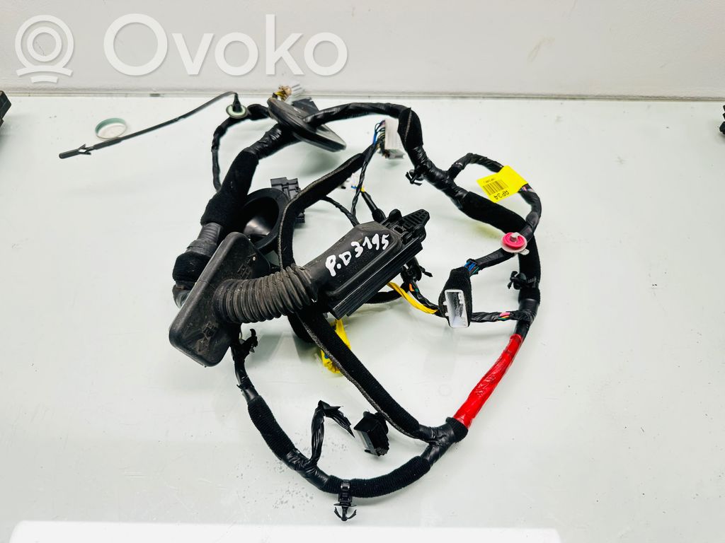 KIA Optima Cableado de puerta delantera 