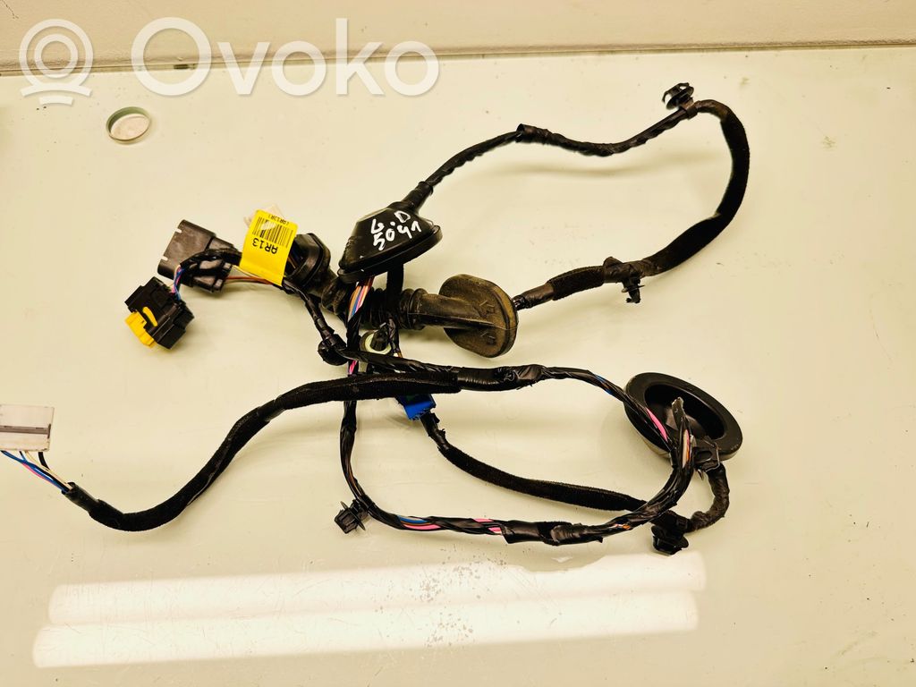 KIA Optima Cableado de puerta trasera 