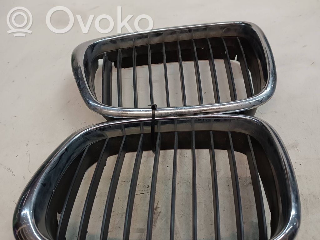 Front grill   2497261