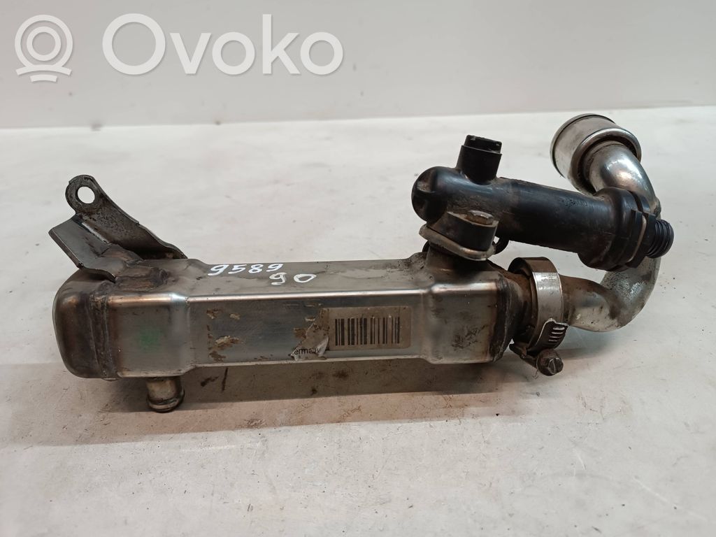 EGR valve cooler   9589