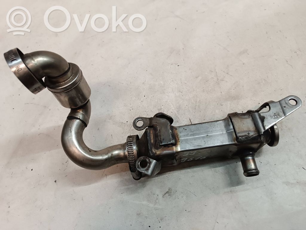 EGR aušintuvas   96765