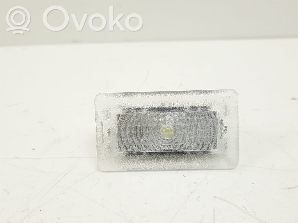 Tesla Model 3 Front door interior light 