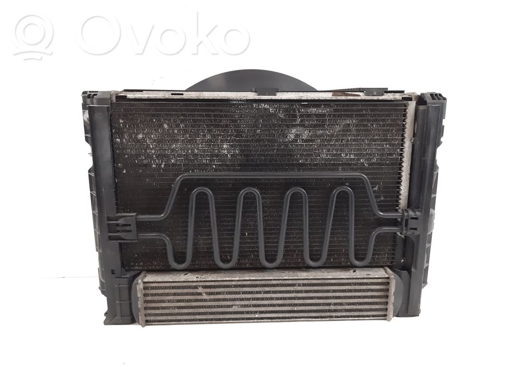 Radiator set   7801647,7797451,6930039,3137229021