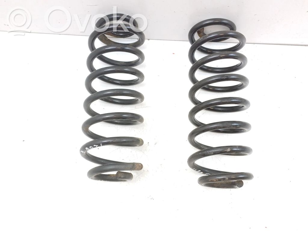 Rear coil spring