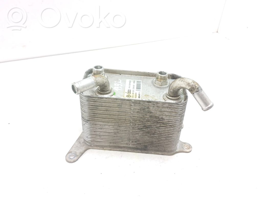 Volkswagen Phaeton Oil filter mounting bracket 