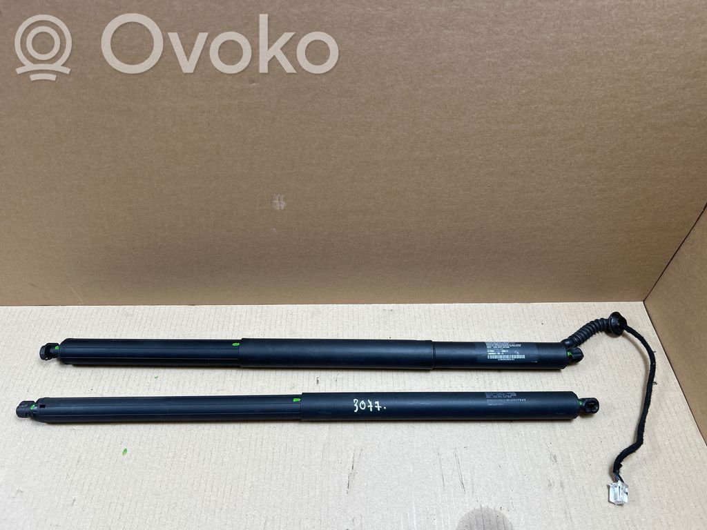 Tesla Model X Bagāžnieka amortizators 