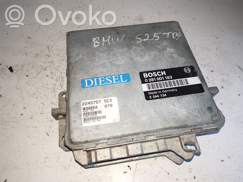 BMW 5 E34 Engine control unit/module 