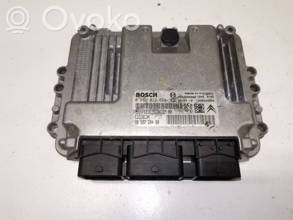 Citroen C5 Engine control unit/module 
