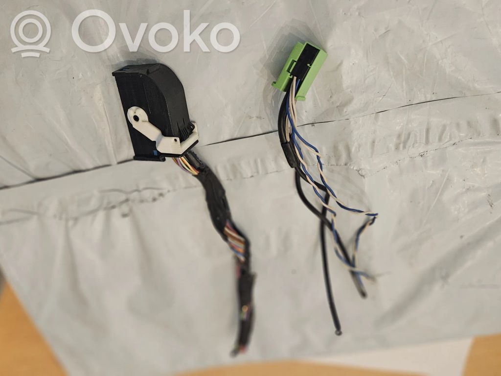 Volkswagen Tiguan Sound system wiring loom 