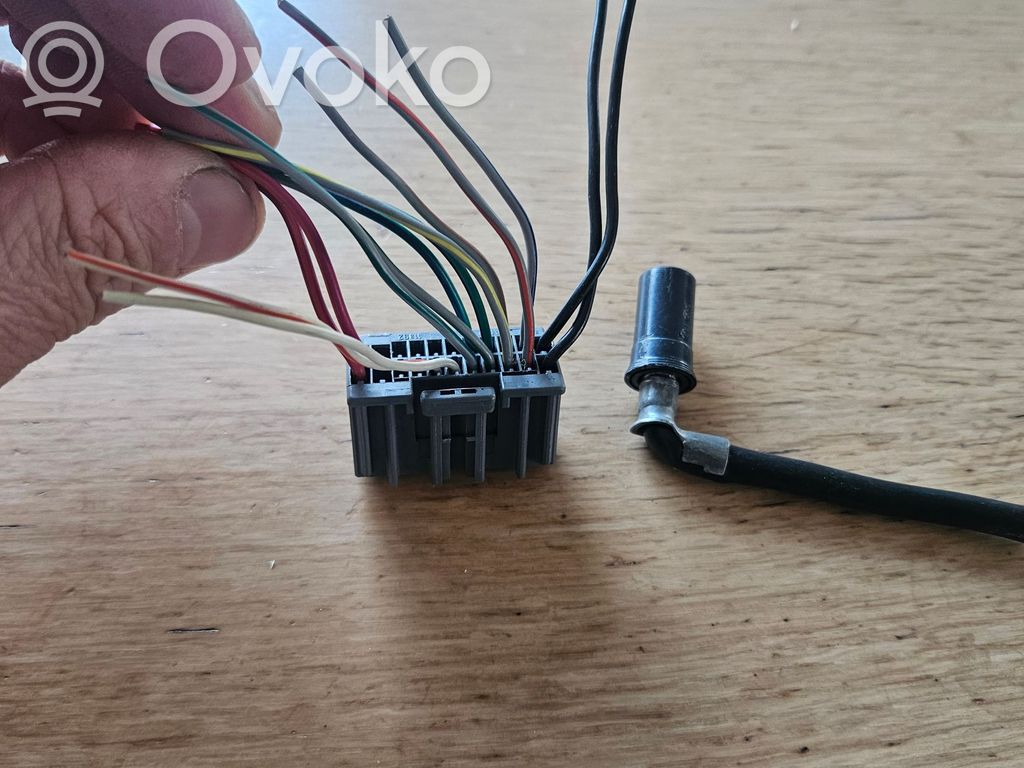 Sound system wiring loom