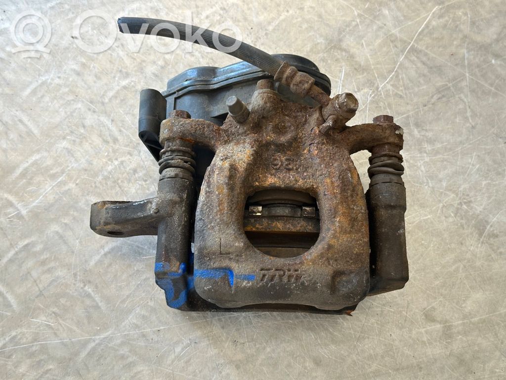 Takajarrusatula   32353311C