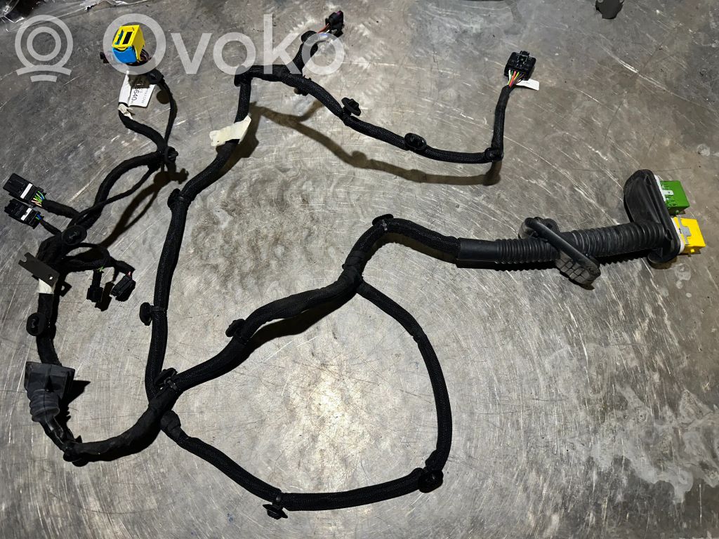 Citroen C4 III e-C4 Cableado de puerta delantera 