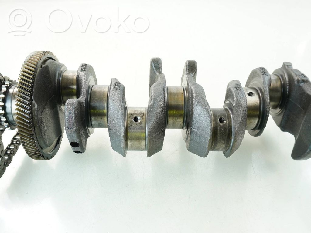 Kampiakseli   77979750800