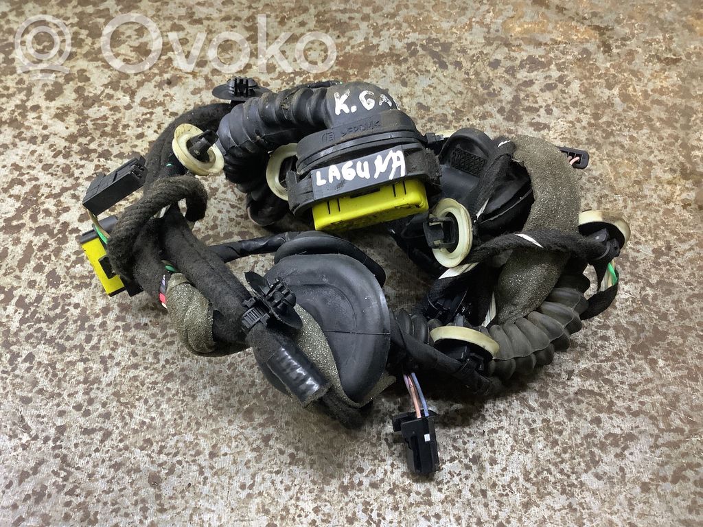 Renault Laguna III Wiązka przewodów drzwi tylnych 