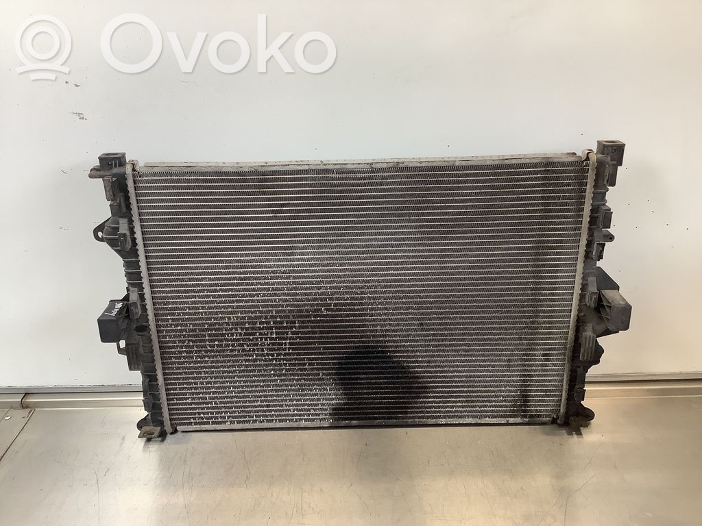 Coolant radiator   65615A,220224,2022W32,10027494