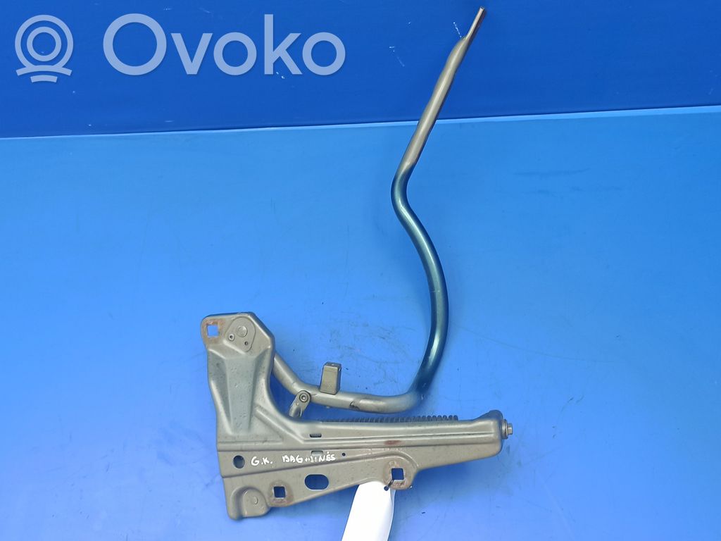 Tailgate/trunk/boot hinge