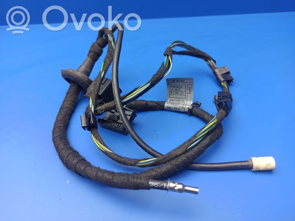 Cableado de puerta trasera   6913152,1Q641115,6913145