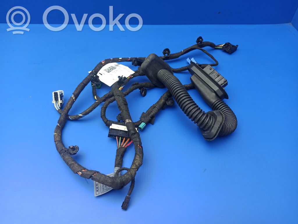 BMW 7 E65 E66 Cableado de puerta delantera 