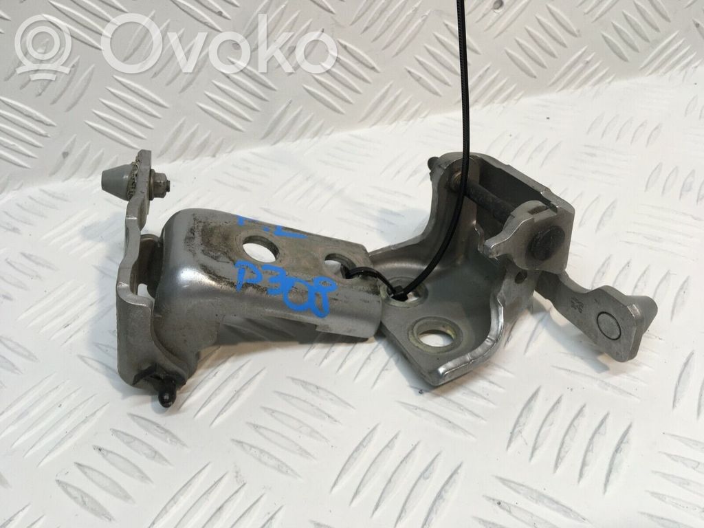 Front door hinge set