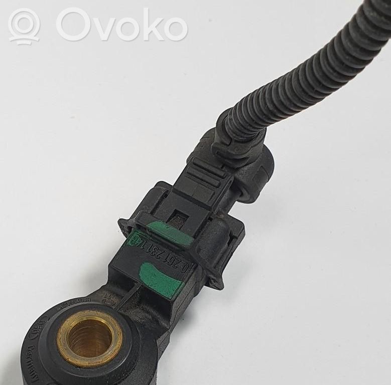 Sensor de petardeo del motor   0261231148