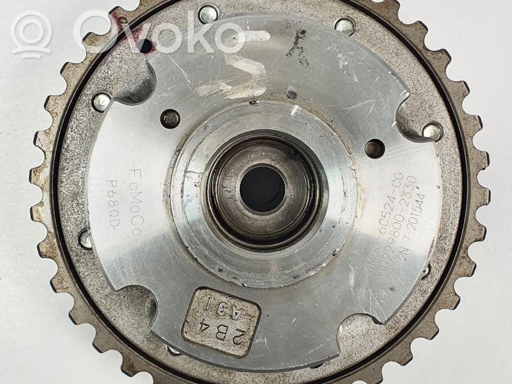 Ford Focus Pinion lanț distribuție 