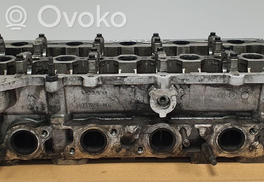 Galvutė   30731988,30731988