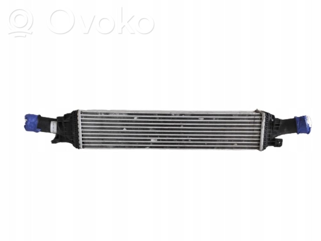 Intercooler radiator   30289180521975
