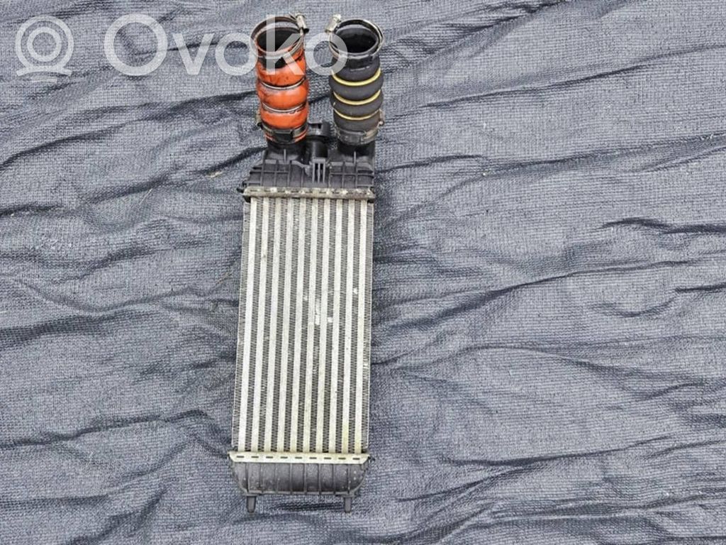Intercooler radiator   CW966003,9803900780,20171025
