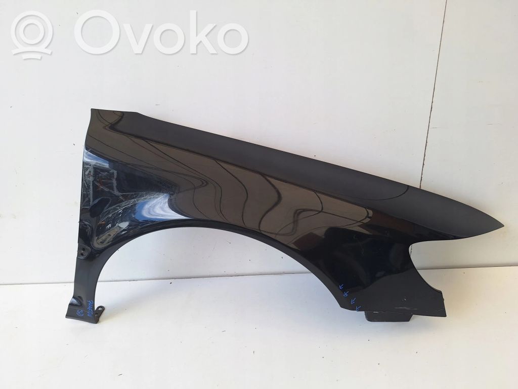 Guardabarro   3D0821022