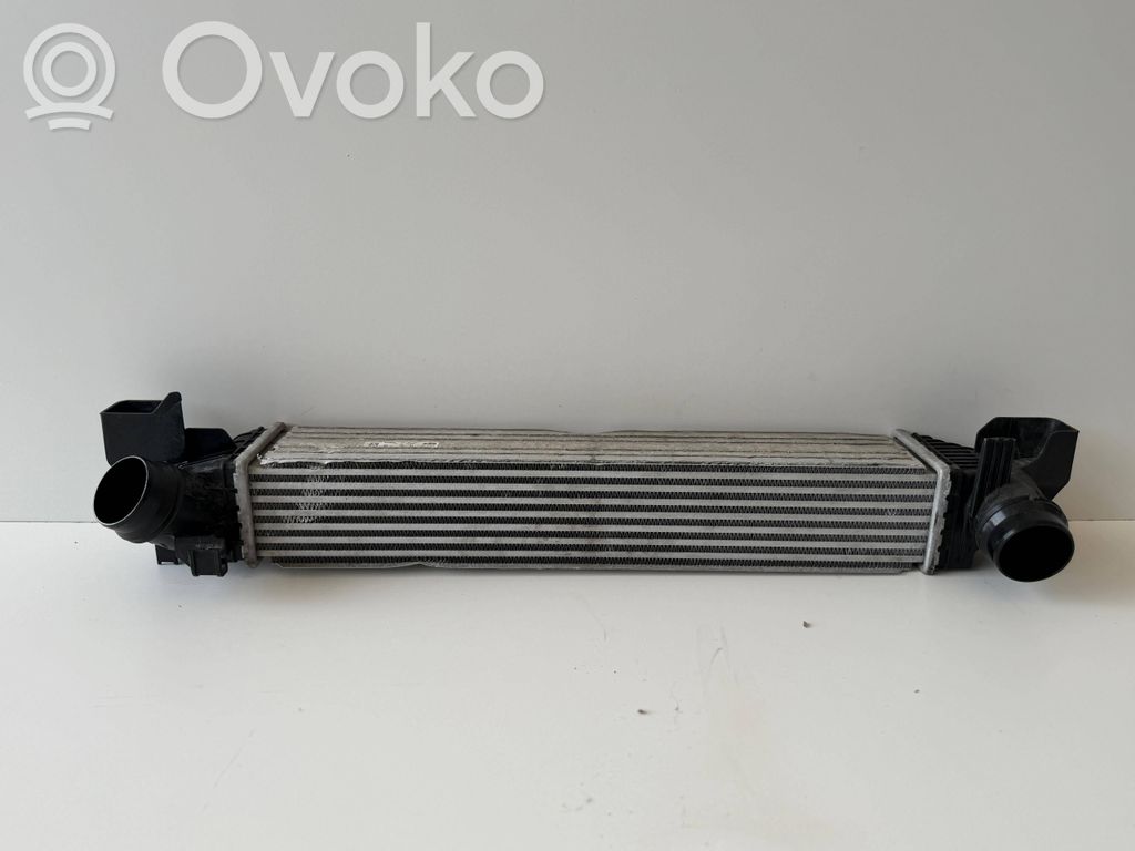 BMW 1 F40 Interkūlerio radiatorius 