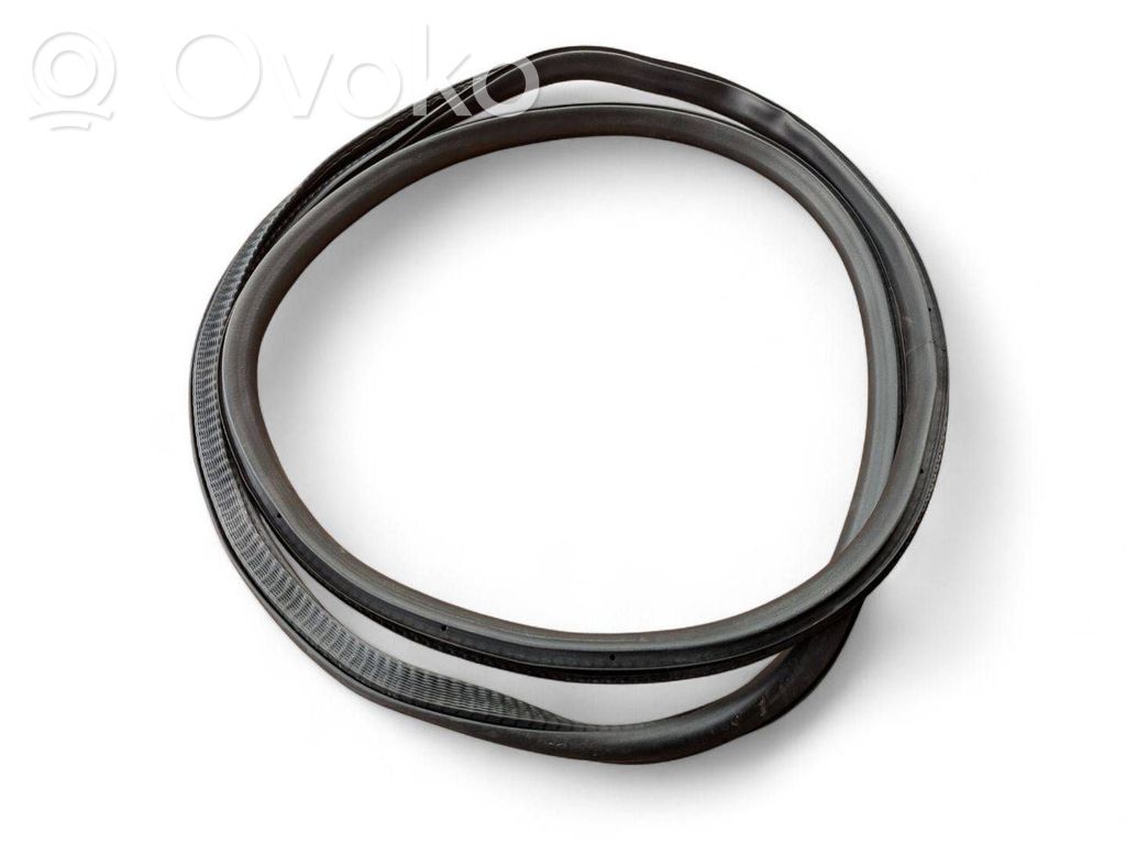 Fiat 500X Rubber seal front door (on door) 