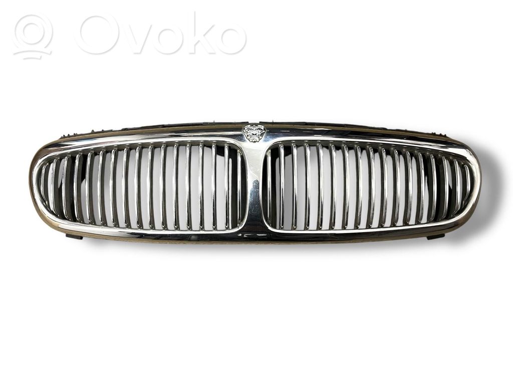 Front grill   1X435510AE