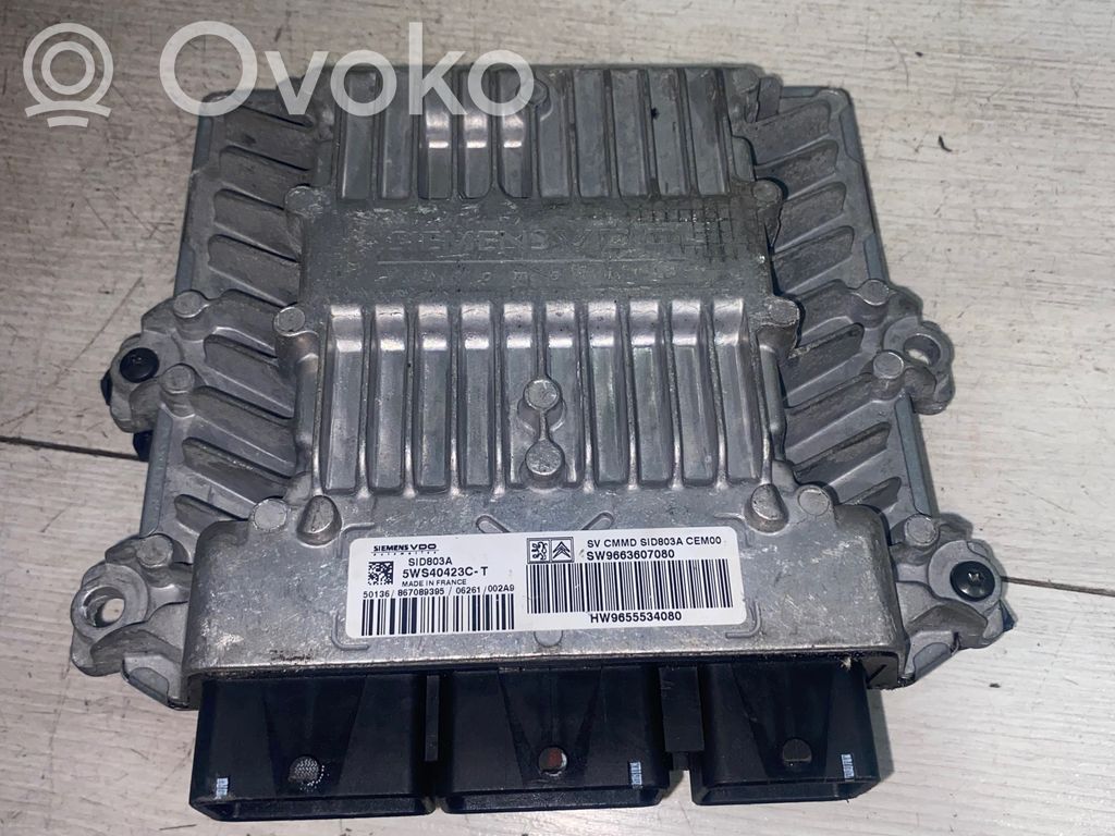 Peugeot 407 Engine control unit/module 