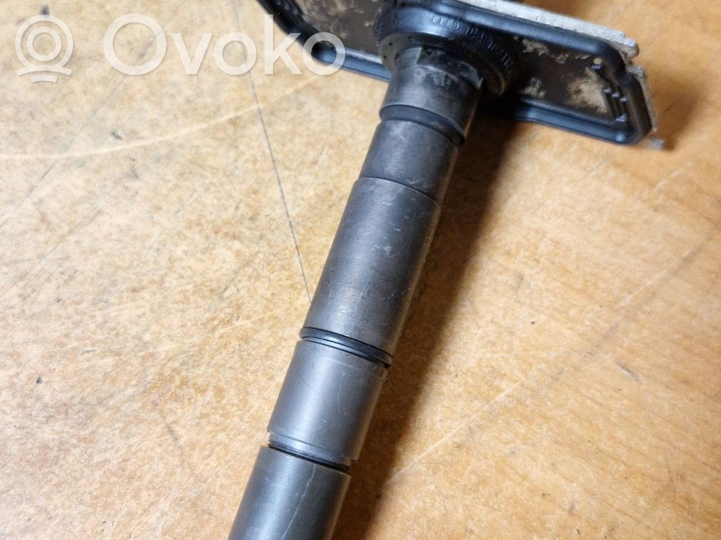 Audi A6 S6 C6 4F Injector combustibil 