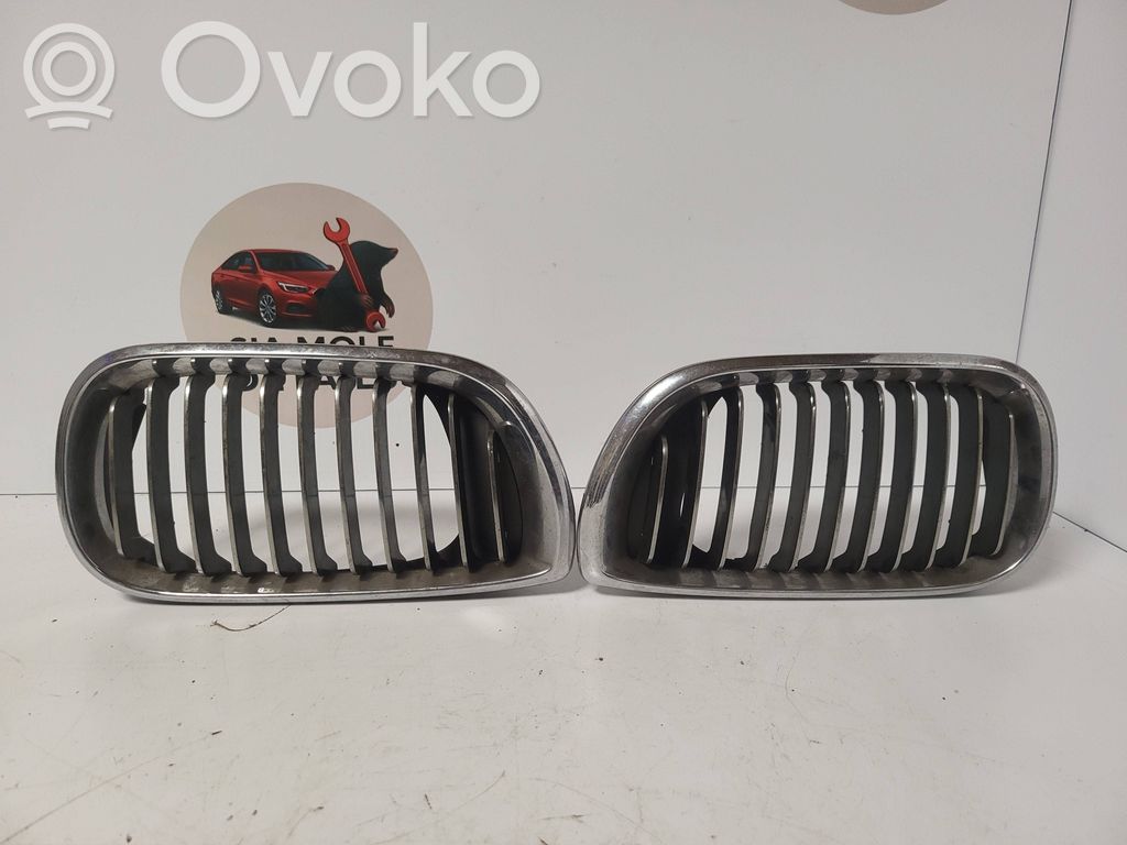 BMW 3 E46 Rejilla delantera 