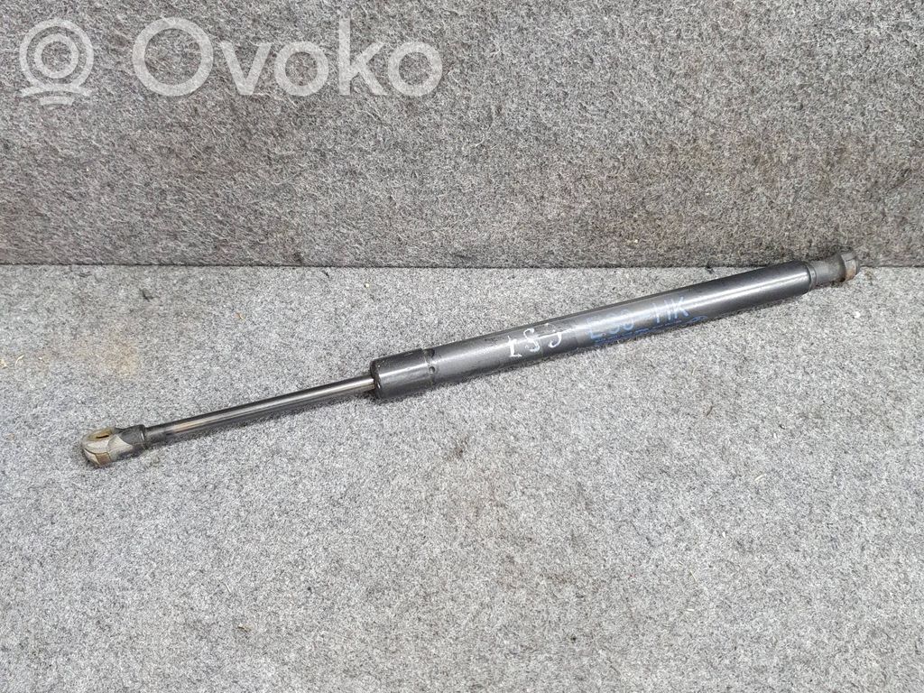 Tailgate/trunk strut/damper   7060623,51247060623,51247250308