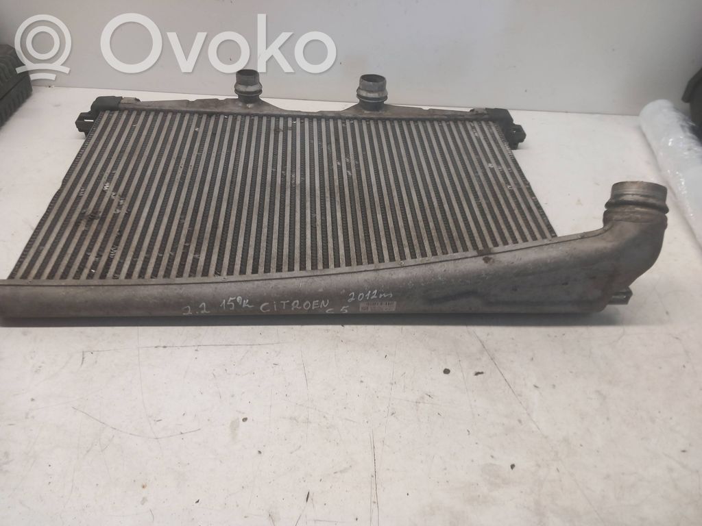 Citroen C5 Aušinimo skysčio radiatorius 