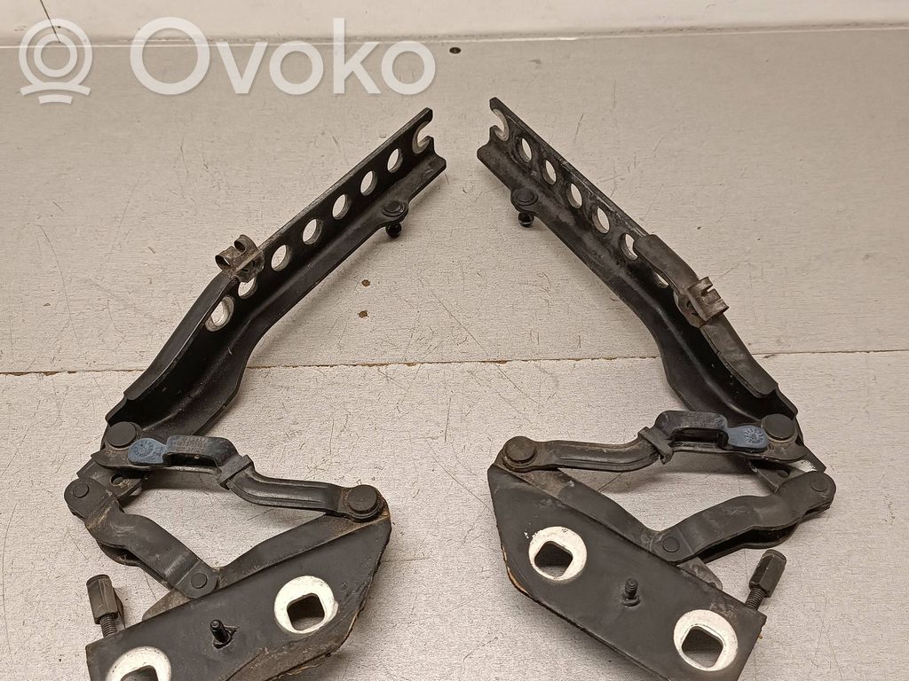Audi A8 S8 D3 4E Engine bonnet/hood hinges 