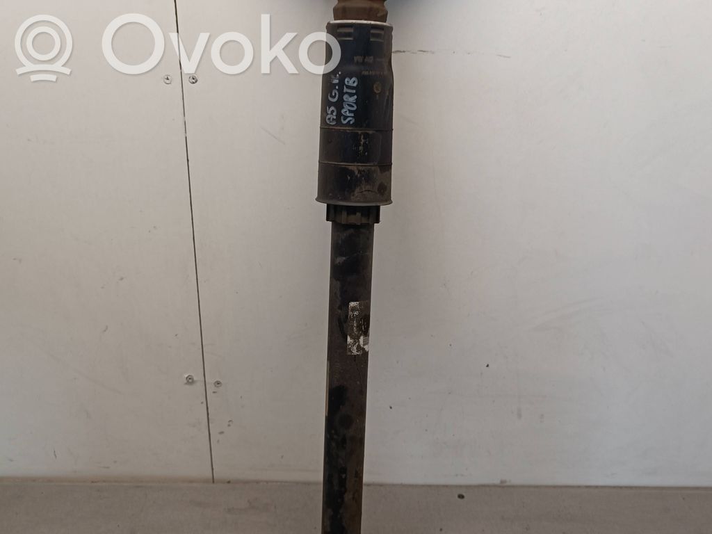 Audi A5 Amortizor spate 