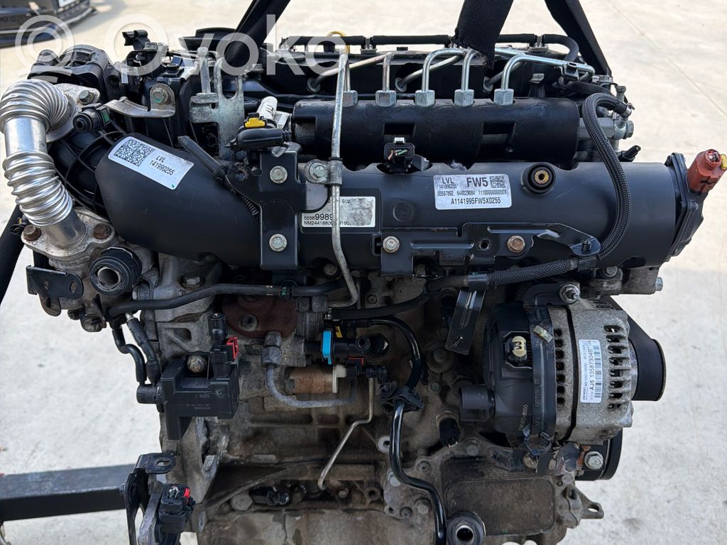 Engine   141990255,55597892,644029084,B16DTH