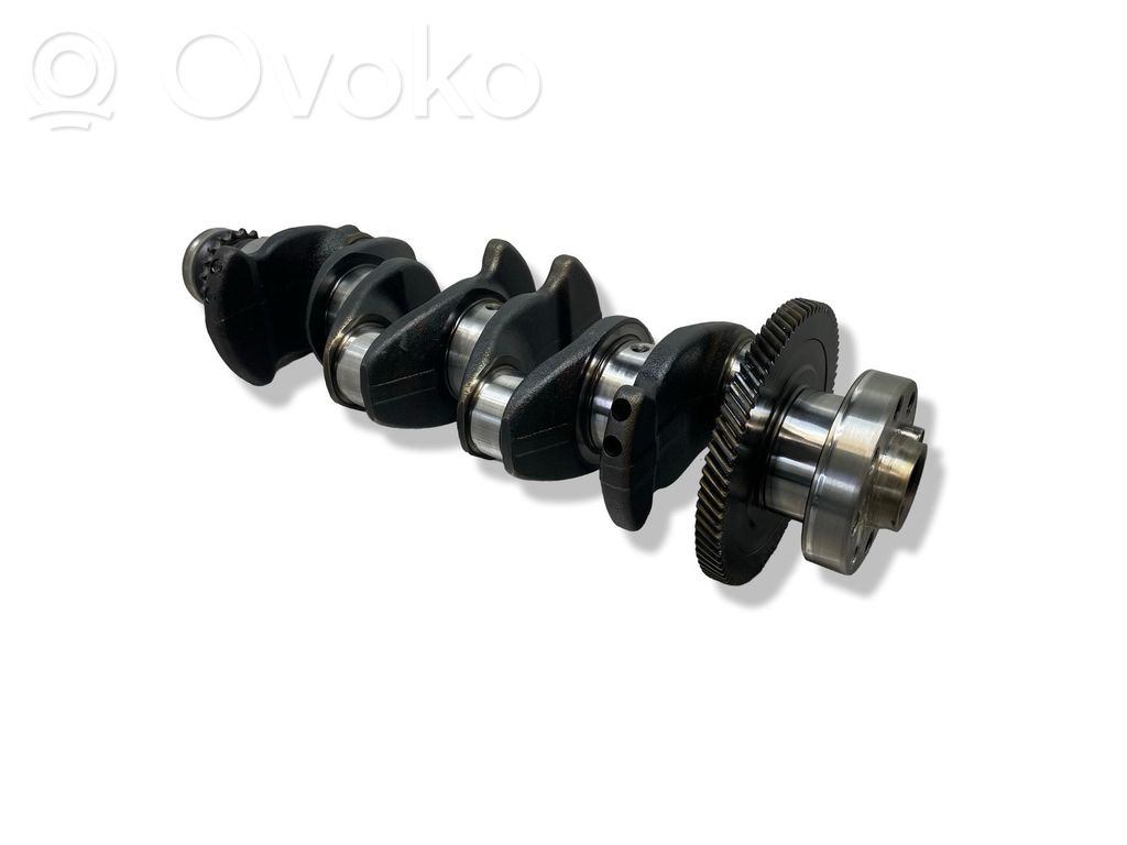 Crankshaft   204D4,M47D20